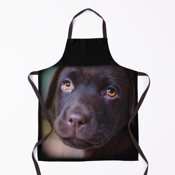 Item preview, Cute Labrador Puppy | Labrador Retriever Dog Breed | designed and sold by BestBash.