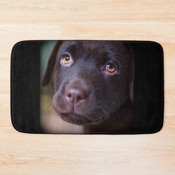 Item preview, Cute Labrador Puppy | Labrador Retriever Dog Breed | designed and sold by BestBash.