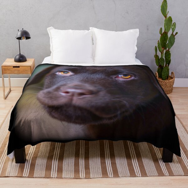 Item preview, Cute Labrador Puppy | Labrador Retriever Dog Breed | designed and sold by BestBash.