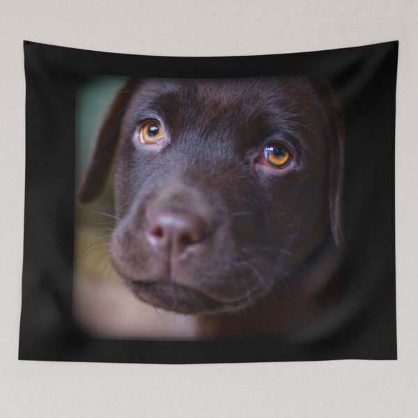 Item preview, Cute Labrador Puppy | Labrador Retriever Dog Breed | designed and sold by BestBash.