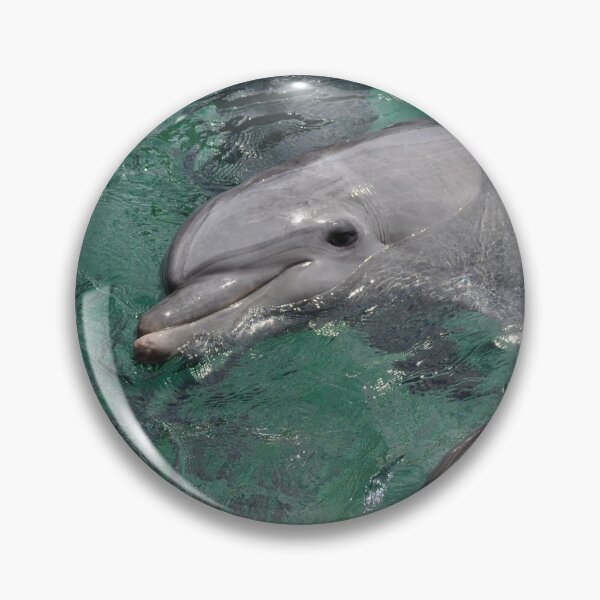 Item preview, Dolphins in Eilat designed and sold by DanaLauraPhoto.