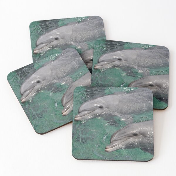Item preview, Dolphins in Eilat designed and sold by DanaLauraPhoto.