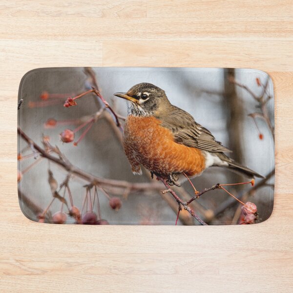 Item preview, American Robin designed and sold by Michael Cummings.