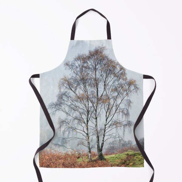 Item preview, Borrowdale Silver Birch Trees designed and sold by Phil Buckle.