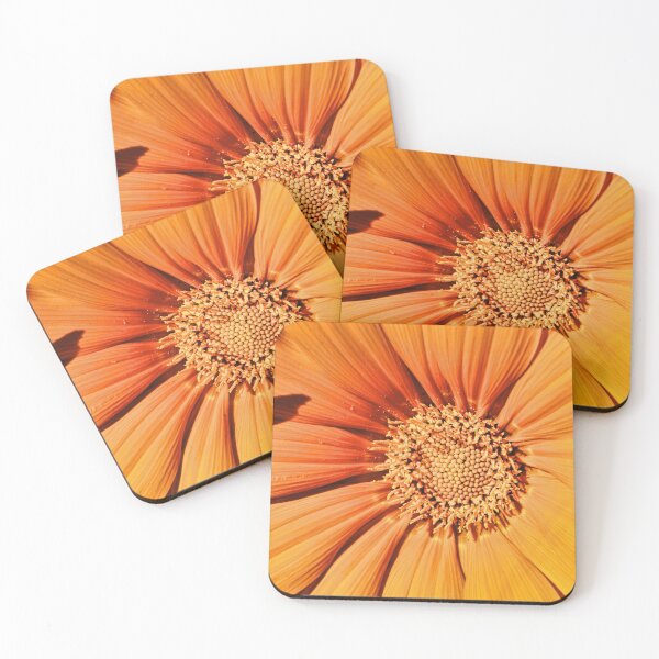 Item preview, Orange Gazania designed and sold by Avril Harris.