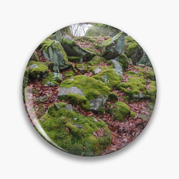 Artikelvorschau, Winter forest in the Vosges mountains. Covered with green soft moss stones entworfen und verkauft von Alexander Sorokopud.