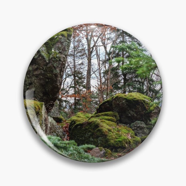 Artikelvorschau, Winter forest in the Vosges mountains. Covered with green soft moss stones entworfen und verkauft von Alexander Sorokopud.