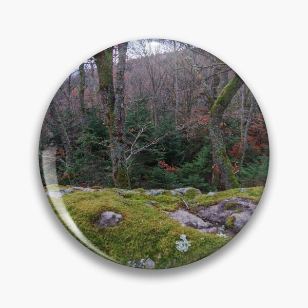 Artikelvorschau, Winter forest in the Vosges mountains. Covered with green soft moss stones entworfen und verkauft von Alexander Sorokopud.