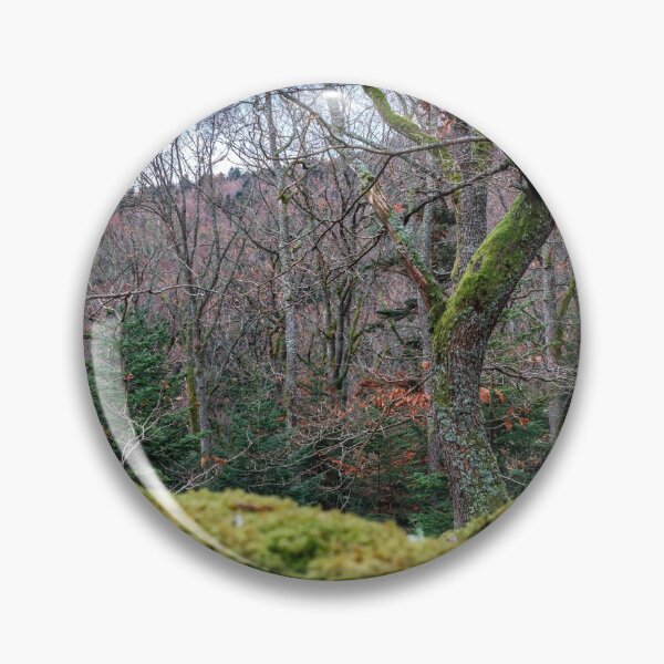 Artikelvorschau, Winter forest in the Vosges mountains. Covered with green soft moss stones entworfen und verkauft von Alexander Sorokopud.