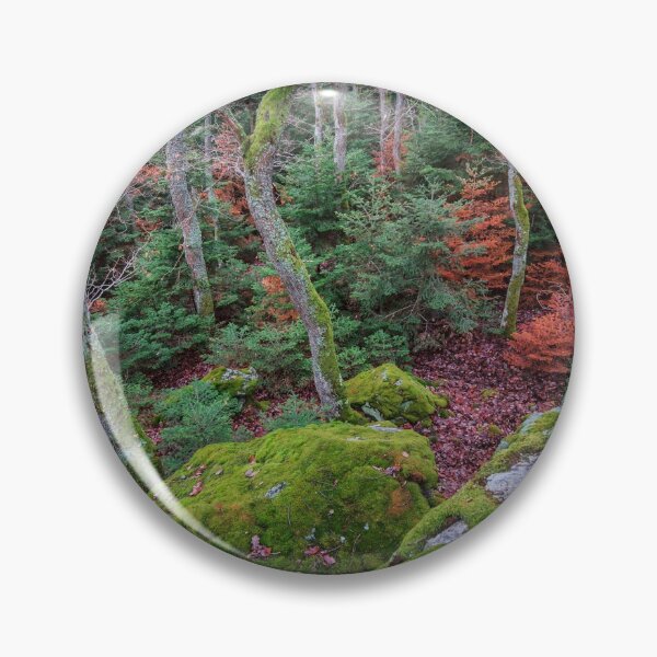 Artikelvorschau, Winter forest in the Vosges mountains. Covered with green soft moss stones entworfen und verkauft von Alexander Sorokopud.