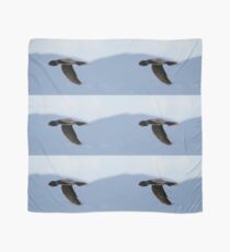 Cormorant in flight over Lago Trasimeno, Umbria, Italy Scarf