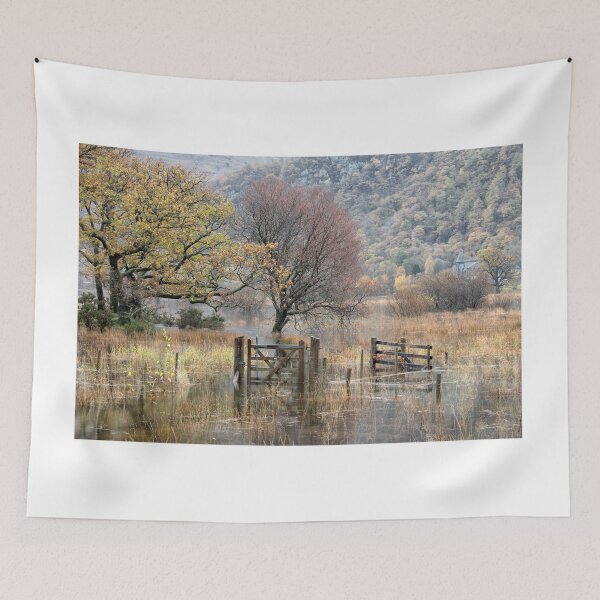 Item preview, Flooded Derwent Water Footpath designed and sold by Phil Buckle.