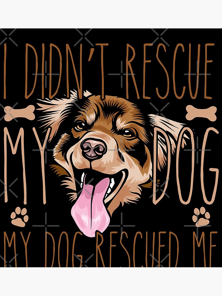 Rescue me hot sale australian shepherd