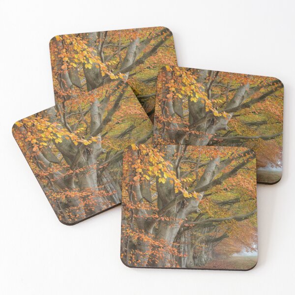Item preview, Autumn Beech Trees designed and sold by Phil Buckle.