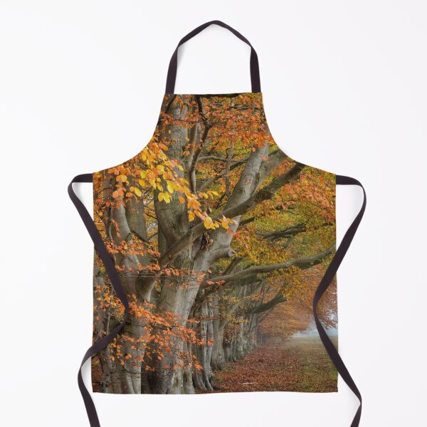 Item preview, Autumn Beech Trees designed and sold by Phil Buckle.