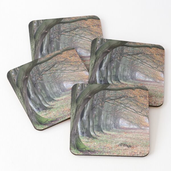 Item preview, Autumn Beech Trees designed and sold by Phil Buckle.
