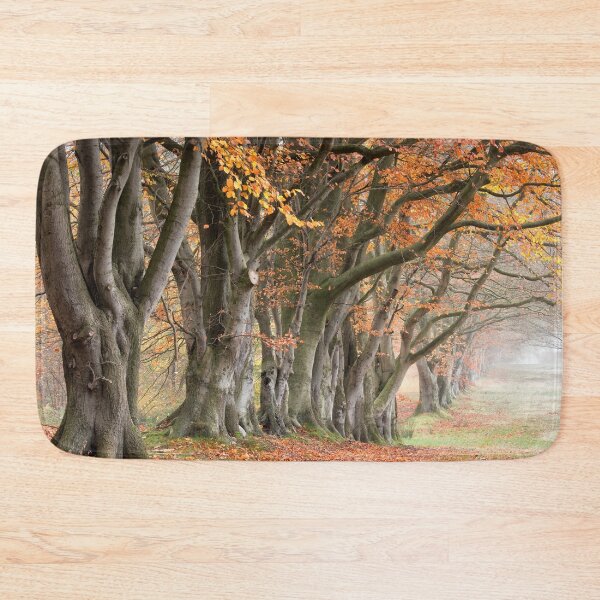 Item preview, Autumn Beech Trees designed and sold by Phil Buckle.