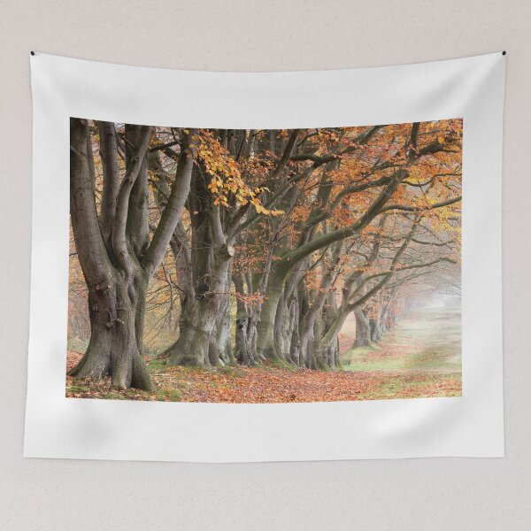Item preview, Autumn Beech Trees designed and sold by Phil Buckle.
