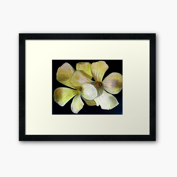 Clover Flowers Framed Art Print