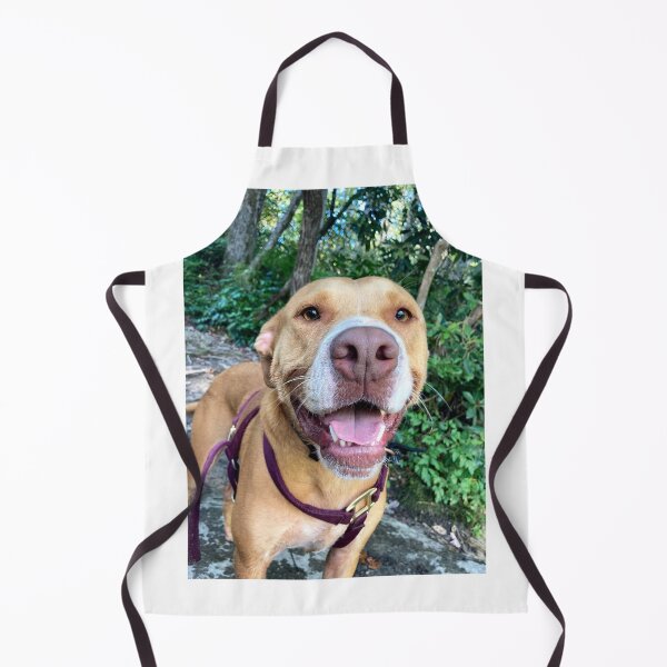 Item preview, Rosco up close so happy to be out on the hiking trail designed and sold by Taleta Hollis.