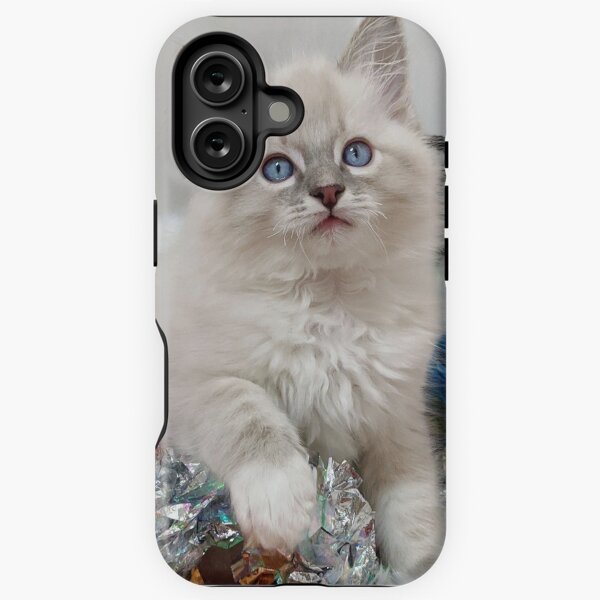 Artikel-Vorschau von Luchs Ragdoll Kätzchen, designt und verkauft von Fluffycat2020.