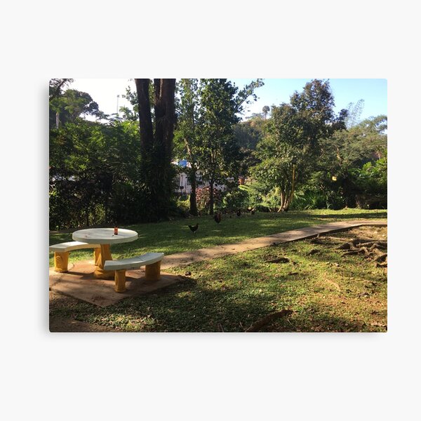 Item preview, Park at valley rain forest town area in Puerto Rico designed and sold by Taleta Hollis.