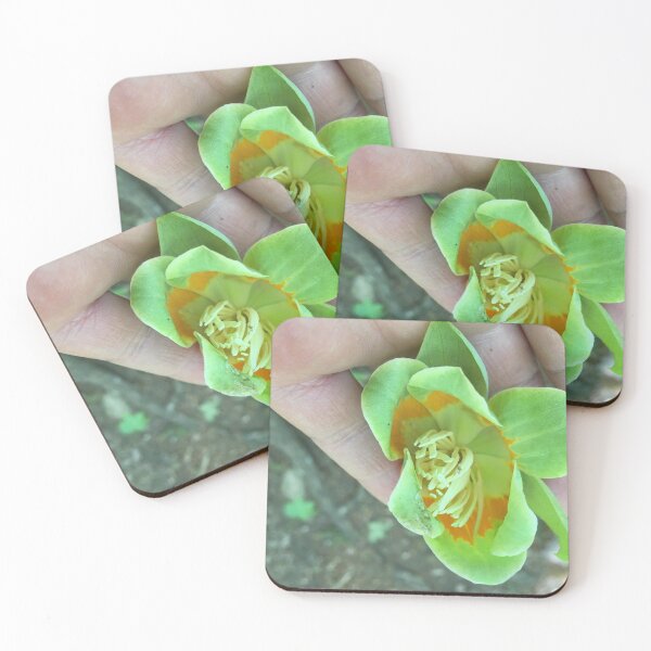 Item preview, I was told this is  a type of tulip flower. These flower were floating through the air landing on the trail. I just had to pick one up to examine more closely. designed and sold by Taleta Hollis.