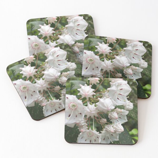 Item preview, I am told these are a type of mountain laurel. They were growing all along the trail.  designed and sold by Taleta Hollis.