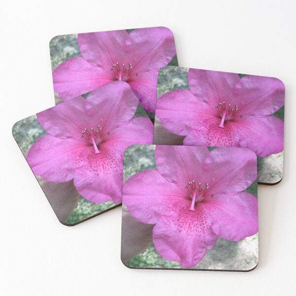 Item preview, This  Large Pink flower was growing down in Pickens area designed and sold by Taleta Hollis.