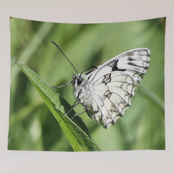 Item preview, r 2586/  2  papillon - butterfly " Blanc en Beauté - White in Beauty "  finition 2020 par Okaio Créations - Olavia&Olao  designed and sold by o.okaïo.