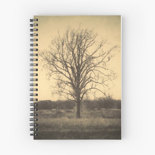 Item preview, The Fountain of Youth designed and sold by JOSEPHMAZZUCCO.