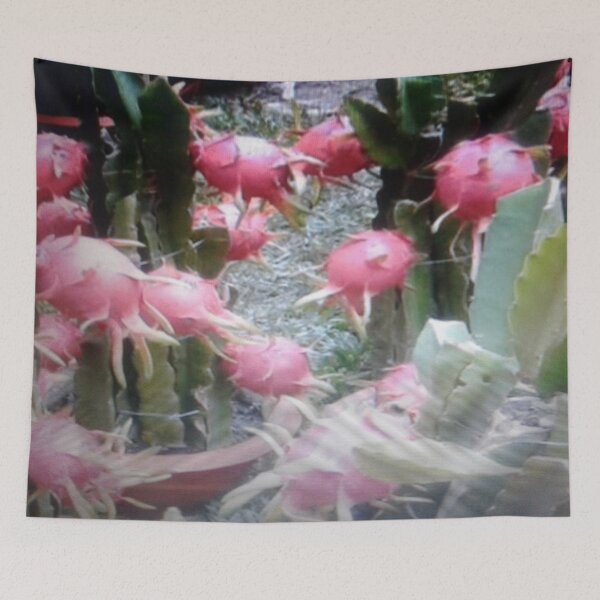 Item preview, Beautiful dragon fruit. designed and sold by Lan thi Nguyen.