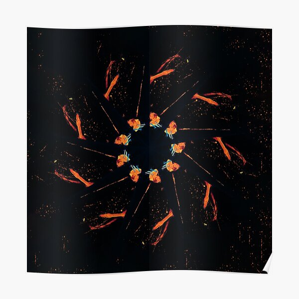 WDVMM - 1038 - Speciation Particulate Mandala 1 Mandala 2 Poster