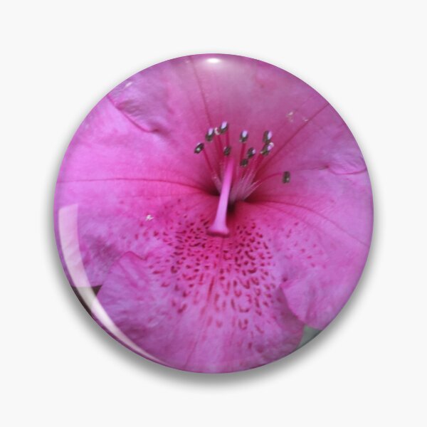 Item preview, This  Large Pink flower was growing down in Pickens area designed and sold by Taleta Hollis.