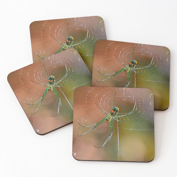 Item preview, Spider designed and sold by LisaWootenPhoto.
