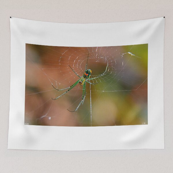 Item preview, Spider designed and sold by LisaWootenPhoto.