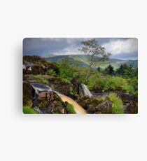 The Loup Of Fintry Canvas Print