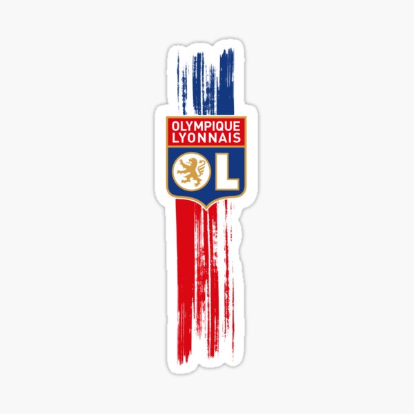 Tout pour ces couleurs, mes couleurs Lyon, France Sticker