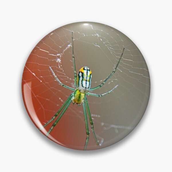Item preview, Spider 2 designed and sold by LisaWootenPhoto.