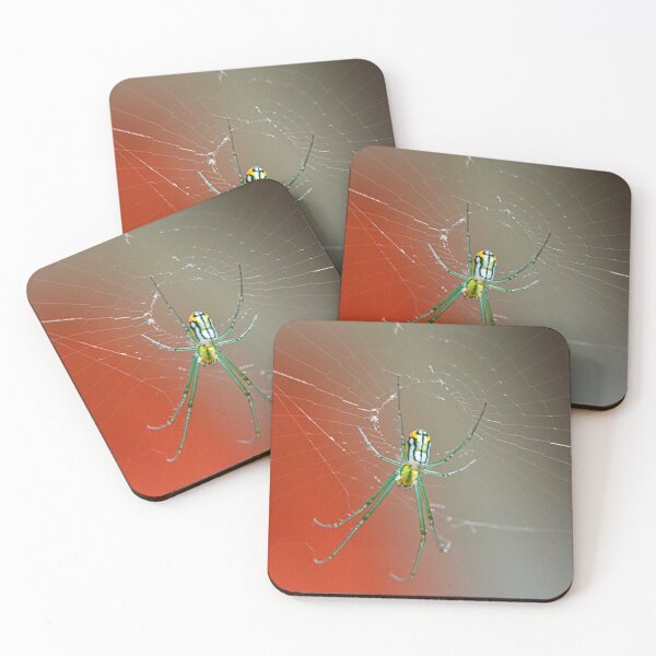 Item preview, Spider 2 designed and sold by LisaWootenPhoto.