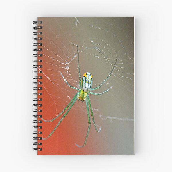 Item preview, Spider 2 designed and sold by LisaWootenPhoto.