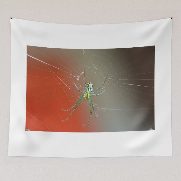 Item preview, Spider 2 designed and sold by LisaWootenPhoto.