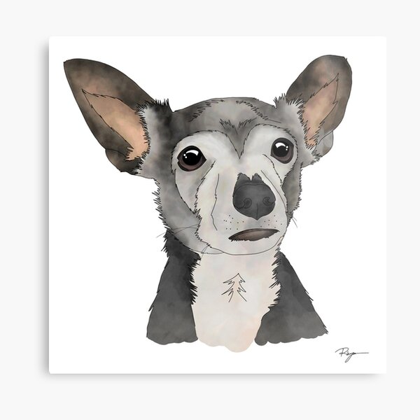 Mr. Pretzels Metal Print