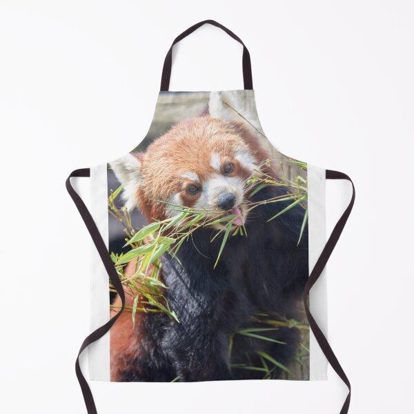 Item preview, RedPanda eating designed and sold by Ksswaden.