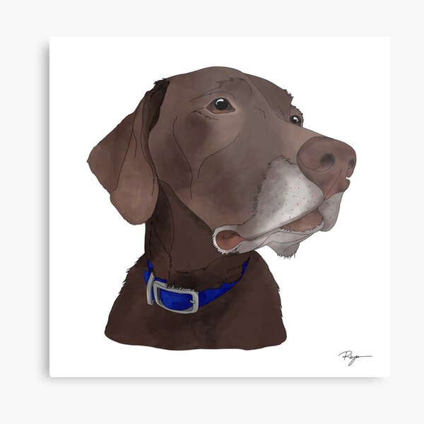 Aperçu de l'œuvre Leroy Brown créée et vendue par karacrylic.