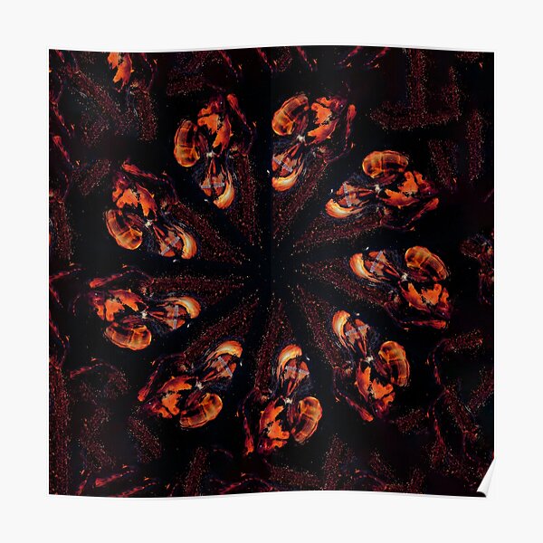 WDVMM - 1040 - Warrior Repeat Mandala 1 Mandala 2 Poster