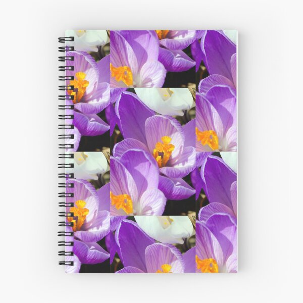 Aperçu de l'œuvre Spring Crocus 2 créée et vendue par ReidSmith.
