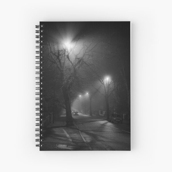 street noir Spiral Notebook