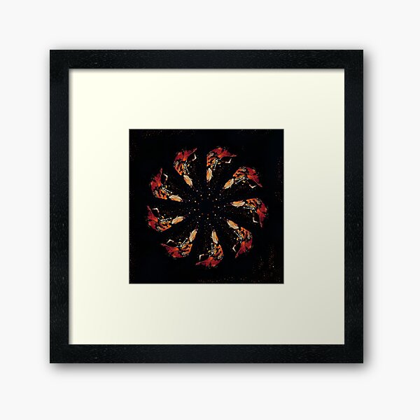 WDVMM - 1041 - Sporulation Mandala 1 Mandala 2 Framed Art Print