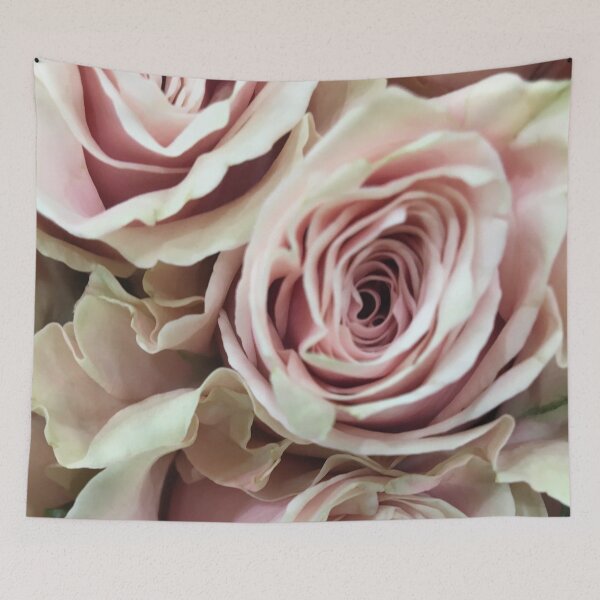 Item preview, Soft Pale Pink Roses designed and sold by loveoceanair.
